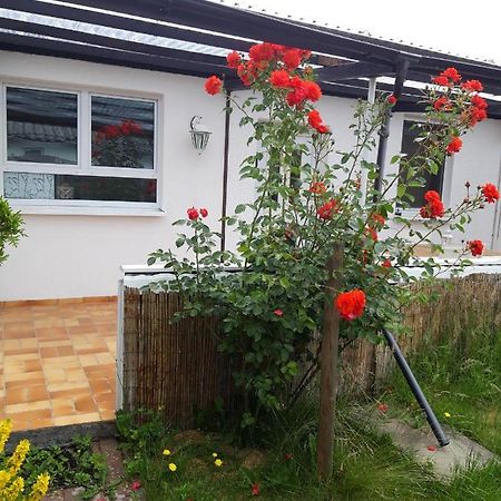 Bungalow Usedom Koserow Ngoại thất bức ảnh