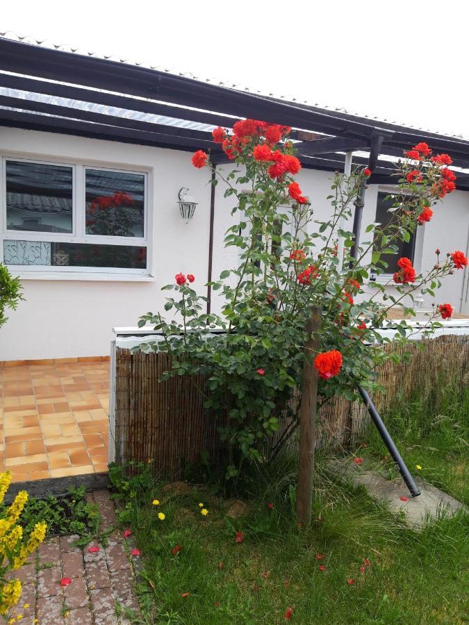 Bungalow Usedom Koserow Ngoại thất bức ảnh